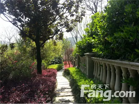 【合肥】项目 :【观澜天下】紫蓬山风景区 山体别墅全城清盘中