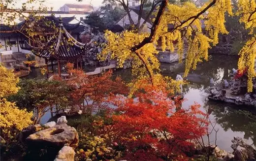 苏州的秋天,美成了一幅山水画