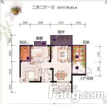 现金丁香园11月24日放送百万丁香大开盘a现金花开阳光书韵350图片