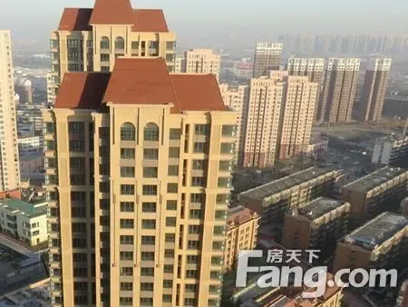 描述