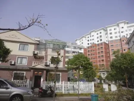 描述