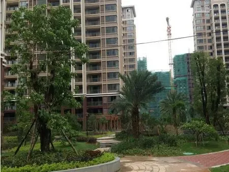 描述