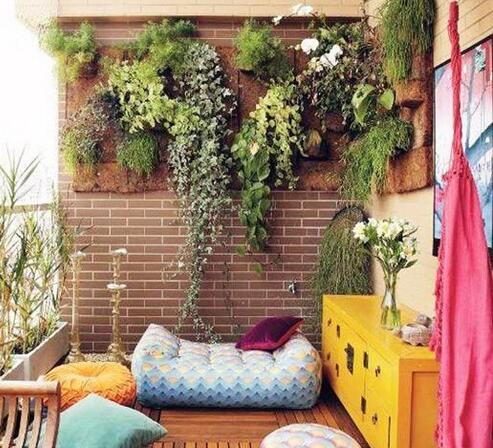 在阳台上种植的植物怎么选 装一网支招阳台植物摆放
