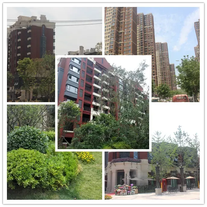 ����Ϻ��վ�