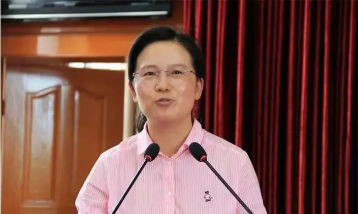 大理州鹤庆县召开2017年重点项目招商推介会