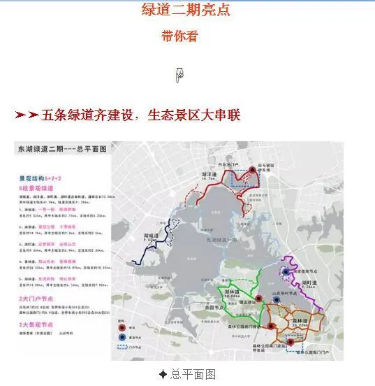 百里绿道已至严西湖隧道口再不上车就晚了