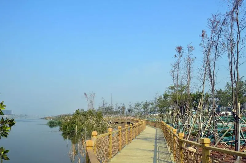【沙田碧桂园】穗丰年湿地公园 东莞的城市绿肺 天然氧吧