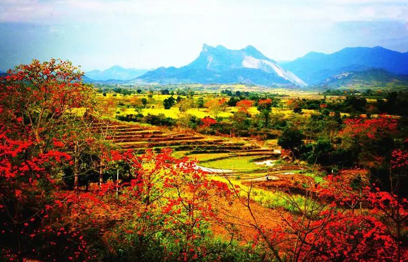 昌江霸王岭