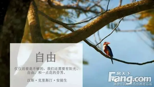 马来西亚