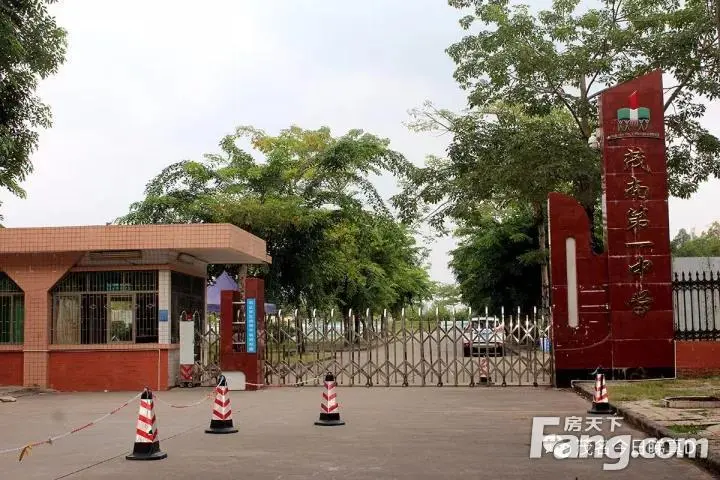 小编注:2016年,《茂名市区公办学校2016至2020年布局规划》称站南