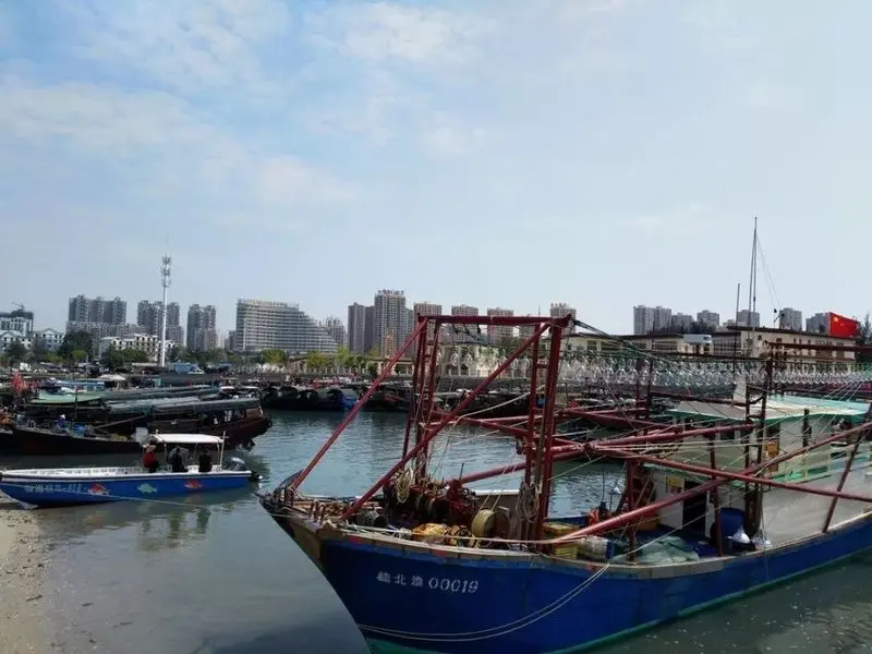 列入国家规划!北海将形成两个渔港经济区