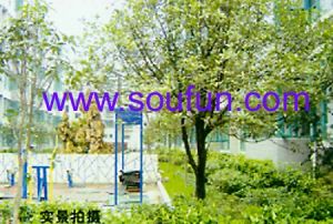 双兴名邸四季春天3室2厅东南