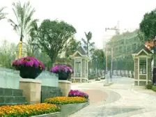 汽博中心 绿地翠谷四期勃朗廷四房