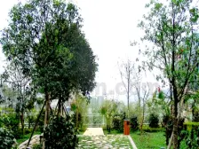 花溪精装大三房,配套齐全,单价5000多