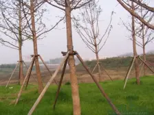 五房户型,近东站,价格可谈,视野舒适