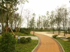 户型合理,住家安静,小区门口就是轻轨