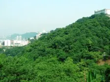 大坪 协信云栖谷二房110万