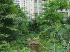 石竹新花园 小区中间复式5房