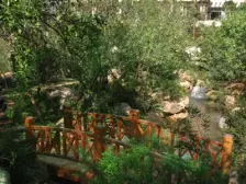 世纪风情一期 1室1厅 西