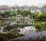 南山一品类独栋 环境优美 私家庭院