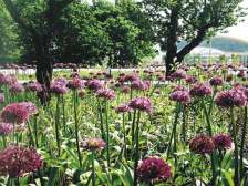 房子位置好 近地铁 交通便利 小区环境好 闹中取静