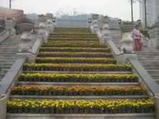 宝嘉江枫美岸小区 3室2厅 南 北