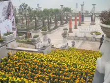 宝嘉江枫美岸小区 1室1厅 西南