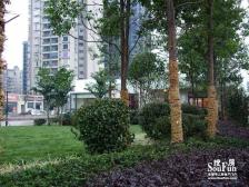 滩子口片区 广厦城巢上三房75万