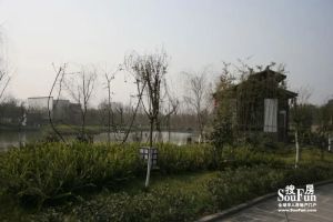 天府江南A区3室2厅东南