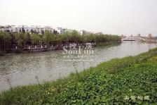 美茵河谷3室1厅南