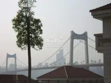 南滨豪门 9室3厅 东南