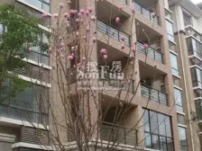 房子楼层高 视野开阔 采光好 业主诚心出售