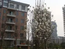 :固定车位:410个 物业费:0.8—2元每平