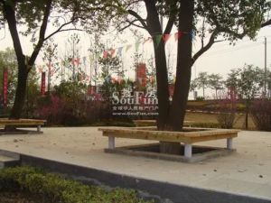 外滩铭座 南北通透,采光好 装修好,环镜优美 中间楼层
