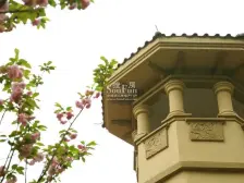 汽博精装类独栋别墅,端户带花园可以装电梯