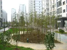 房子位置佳高楼层采光好视野开阔,通透,精装修