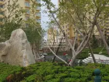 鸿运润园 3室2厅 南 北