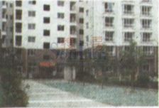 房子户型好,房东诚信出售,看房方便