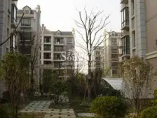 绿地金卫新家园(东区) 1室2厅 南