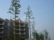 总价低,绿地万达双商圈,采光充足,通风好