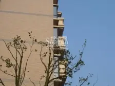 配套完善绿地万达双商圈+刚需养老改善均可