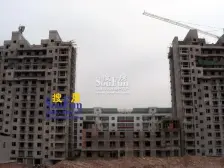 中间楼层 采光充足 视野开阔 看房方便