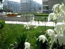 雁滩基业豪庭2室2厅1卫出售南北通透