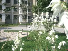 雁滩基业豪庭 两厅两厅 户型方正 视野开阔 可按揭