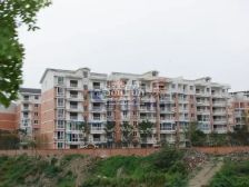 多层空中花园带露台,正朝南带4个阳台