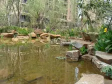 坐北朝南,楼层合适,采光充足,绿化好 交通便利