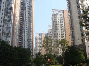 金域名都标准一房一厅户型端正有天然气