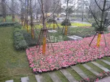 三峡广场旁边,小区环境好,住家安静,采光好