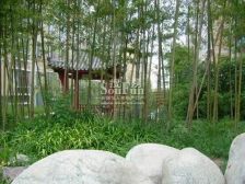 尚高城市花园3室2厅北