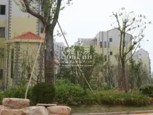 天赐良园 南北通透,采光好 装修好,环镜优美 近地铁 周边匹套完善,,出行方便